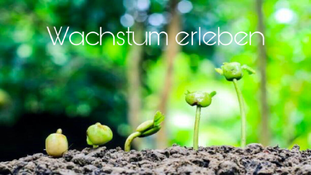 Resilienz Coaching Nürtingen